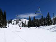 Pista facile presso la seggiovia Sunnyside