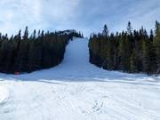 Itinerario difficile con gobbe Vargtjutet (skiroute)