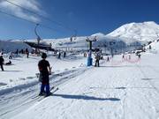 Alpine Meadow Platter - Skilift a piattello