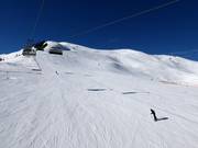 Discesa di Coppa del Mondo