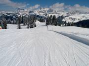 Eccellente preparazione delle piste al Crep de Mont
