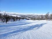 Pista facile a Ramundberget