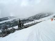 Vista sulla Freeride Zone Chopok Süd