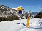 Innevamento al Marienberg