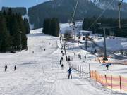 Stellenbichllift - Skilift con T-bar/ancora