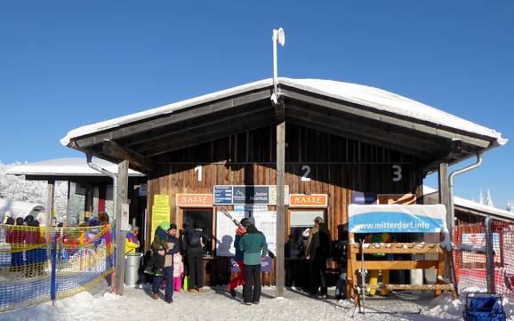 Almberg-Haidel-Dreisessel: Pulizia nei comprensori sciistici – Pulizia Mitterdorf - Almberg