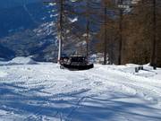 Gatto delle nevi al lavoro