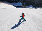 Pista perfettamente preparata