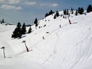 Schweibe - Skilift a piattello