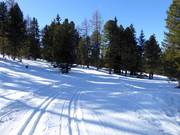 Pista di sci di fondo in quota presso la stazione a monte della cabinovia 10 posti
