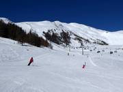 Piste presso la Speiereck-Gipfelbahn