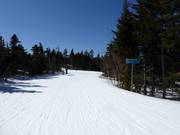 Dalla Barker Mountain parte una pista facile lunga quasi 5 km (3 miglia)