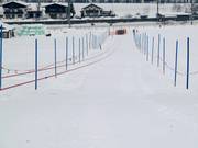 Übungslift Eichenhof II - Manovia/Babylift a fune bassa