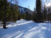 Pista da fondo a Bayrischzell