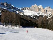 Pista facile Ciampedie - Pian Pecei