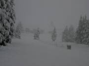 Pista nell’area sciistica Timberline