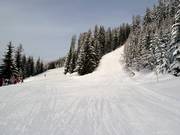 Discesa sportiva e per famiglie