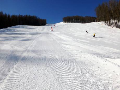 Offerta di piste Alpi Marittime – Offerta di piste Auron (Saint-Etienne-de-Tinée)
