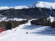 Pista presso la cabinovia Carosello 3000