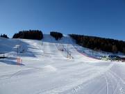 Vista sulle piste a valle n. 2, 3 e 4