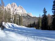 Pista n. 68 Scoiattolo