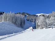 La difficile discesa Trass