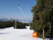 Innevamento completo a Pamporovo