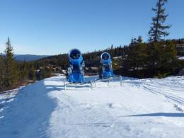 Nesfjellet - Nesbyen