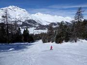 Discesa a valle verso Surlej