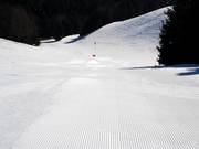 Sempre ben preparate: piste sulla Postwiese