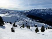 Area freeride al Passo S. Antonio