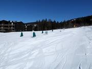 Suggerimento per i più piccoli 