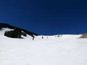 Discese nella Larkspur Bowl