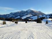 Facile pista panoramica