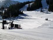 Area principianti presso la seggiovia Molly Hogan