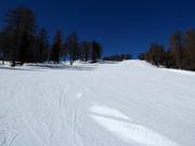 Discesa Watles nella parte inferiore (discesa a valle)