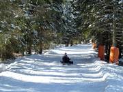 Pista da slittino Hubertus