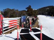 Wombats Snow Runner - Tapis roulant/Tappeto Magico