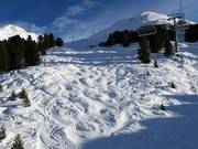 Pista a gobbe presso la Steinmannbahn