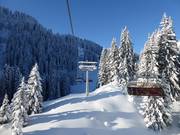 Atmosfera mattutina nella Almkopfbahn