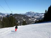 Discesa per famiglie