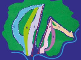 Comprensorio sciistico Zolotaya Gora