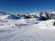 Facile discesa nel bosco