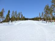 Pista Snöflingan n. 2
