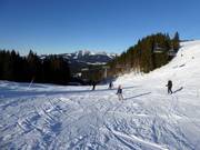 Pista facile Autobahn con Sender Express