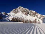Preparazione perfetta delle piste