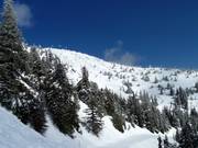 Vista sulle Falcon Glades