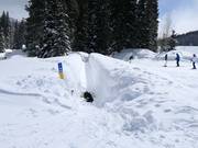 Solitude Magic Carpet - Tapis roulant