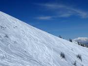 Pendii di neve fresca della Riesneralm