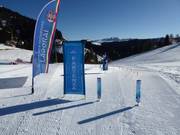 Suggerimento per i più piccoli 